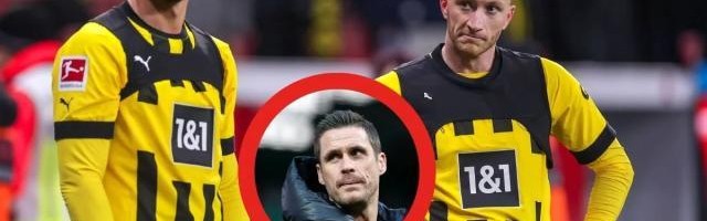 秦游夏：特尔齐奇，你离得开二老吗？